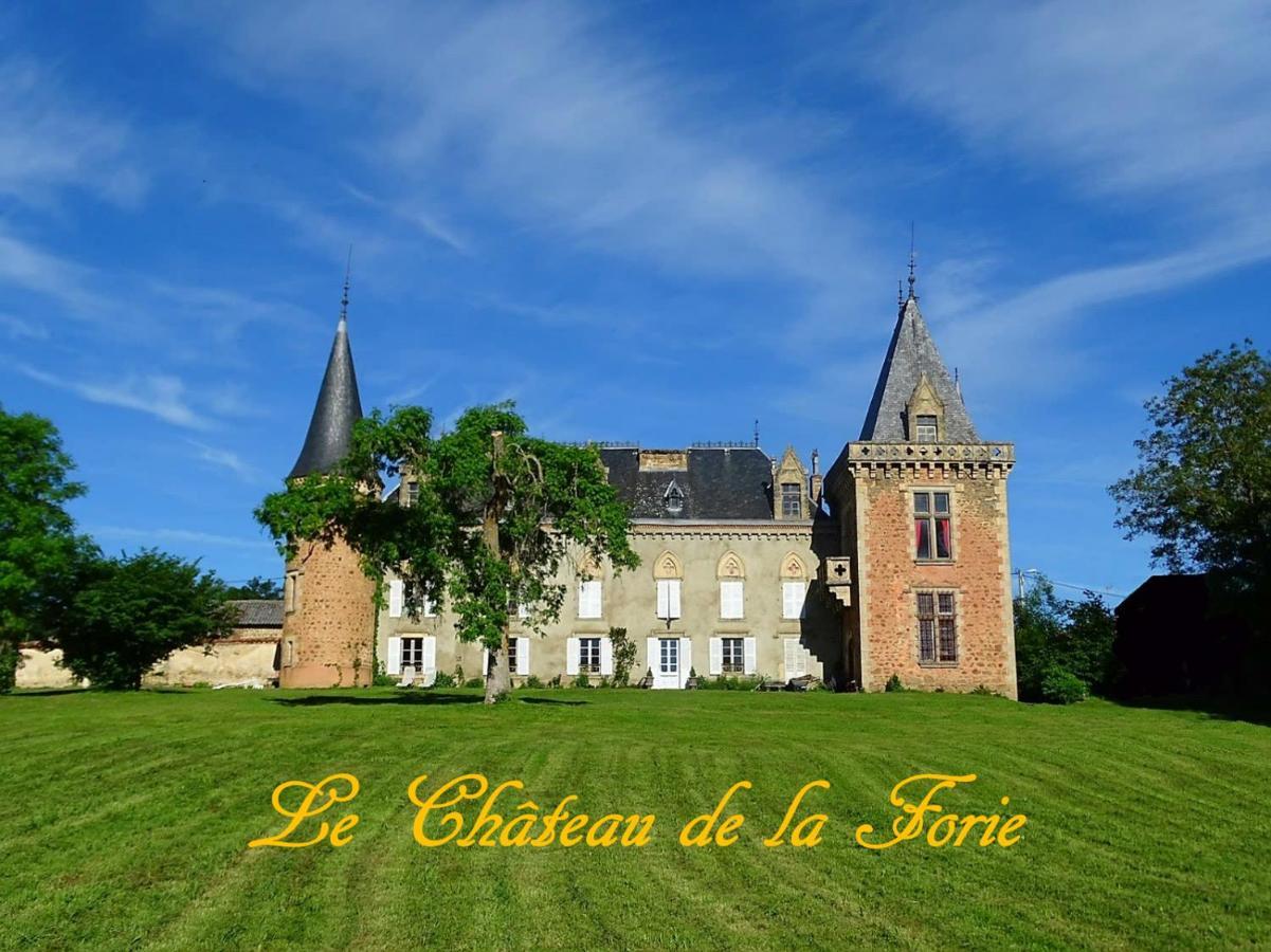 Chateau De La Forie Saint-Etienne-sur-Usson Dış mekan fotoğraf