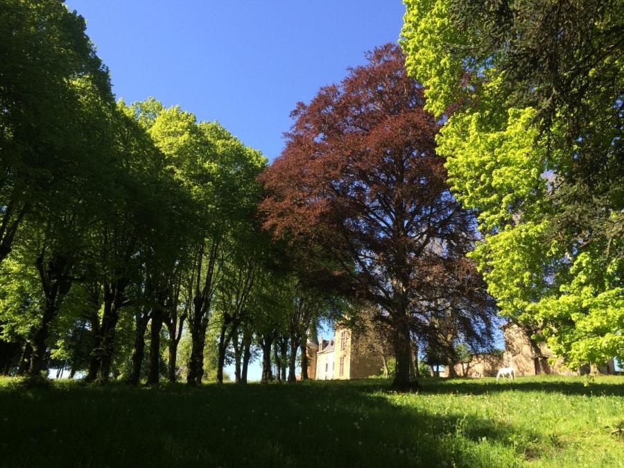 Chateau De La Forie Saint-Etienne-sur-Usson Dış mekan fotoğraf