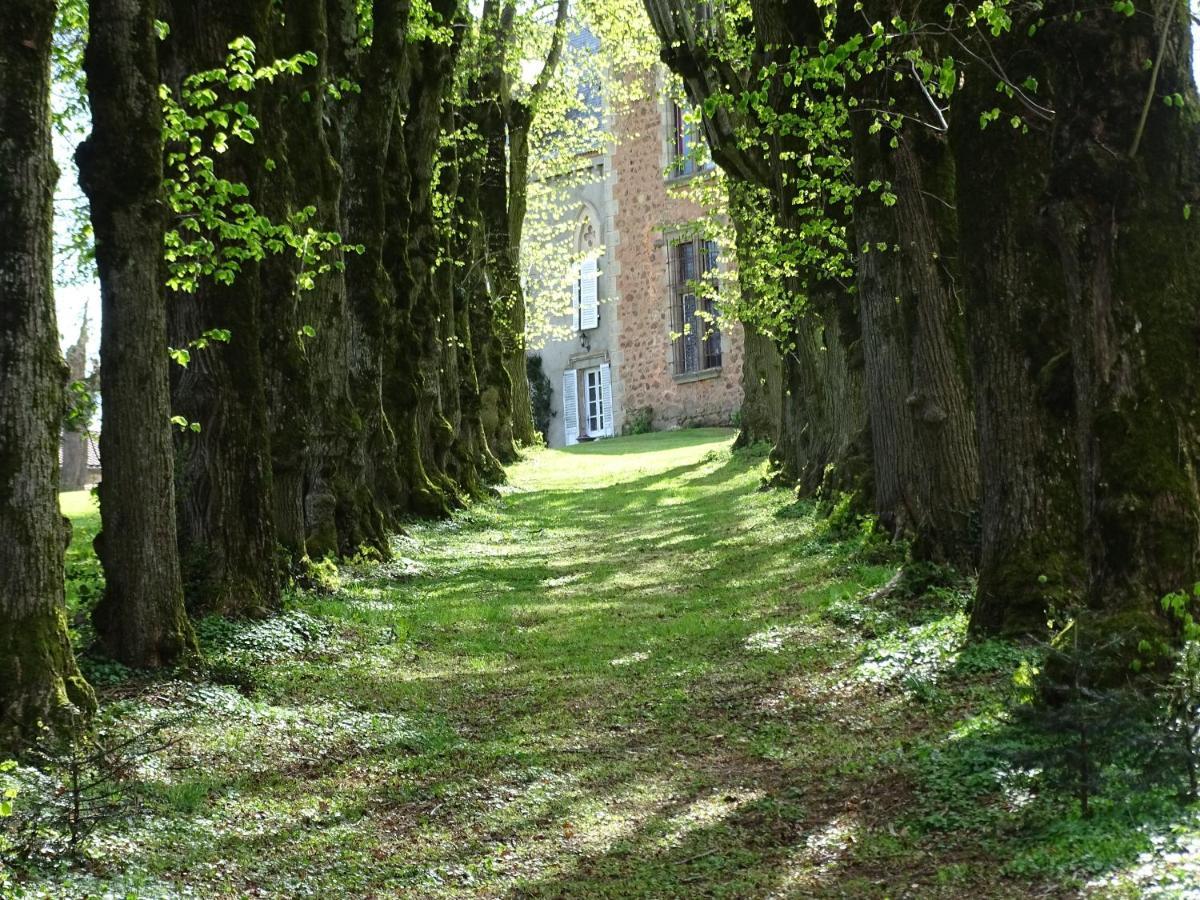 Chateau De La Forie Saint-Etienne-sur-Usson Dış mekan fotoğraf