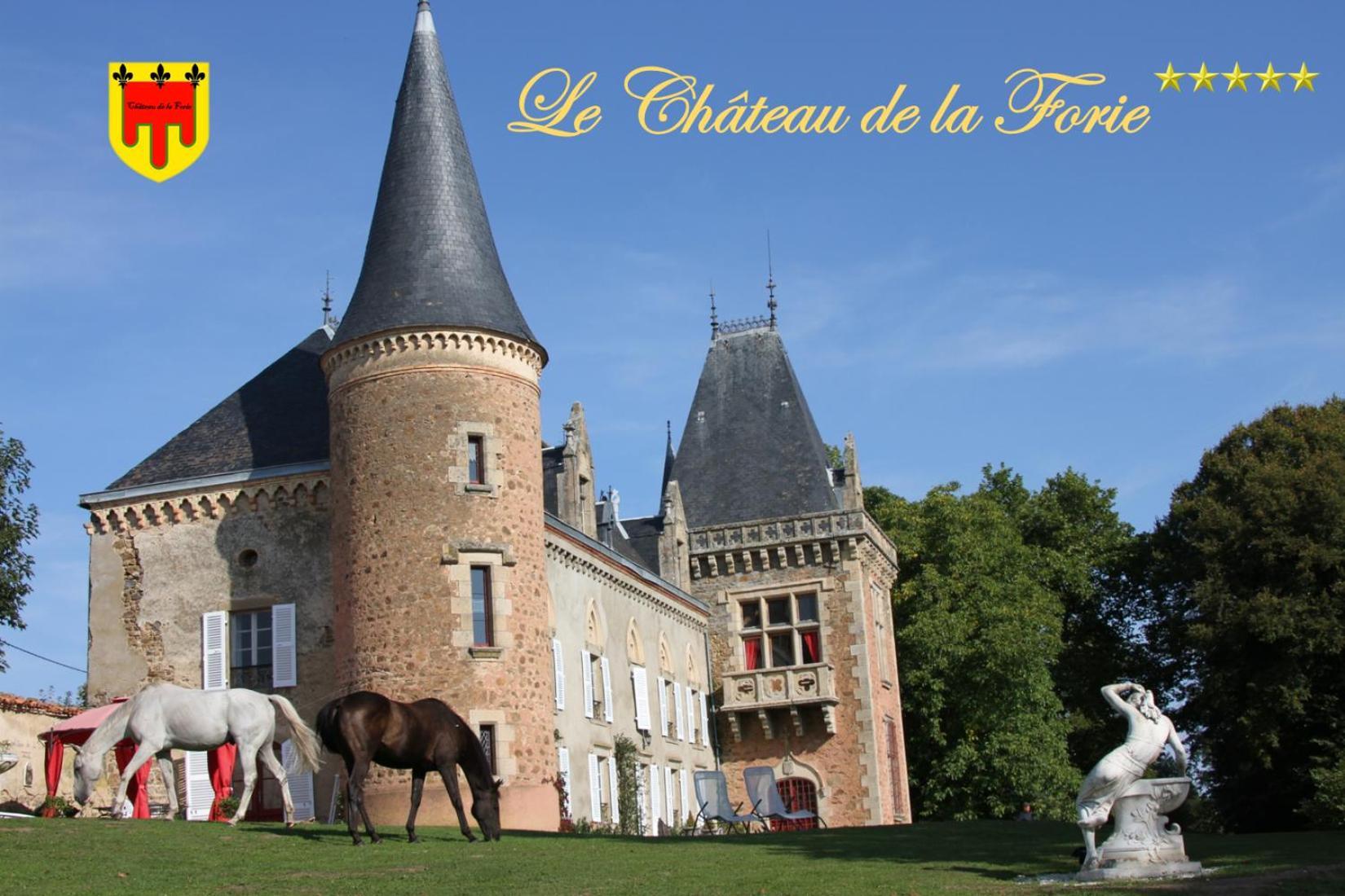 Chateau De La Forie Saint-Etienne-sur-Usson Dış mekan fotoğraf