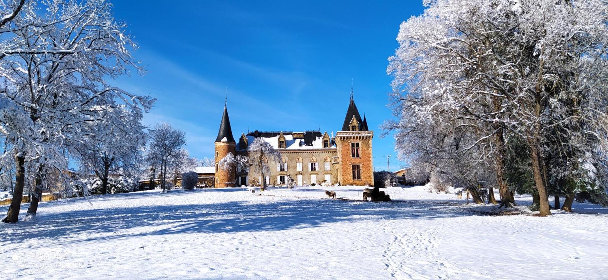 Chateau De La Forie Saint-Etienne-sur-Usson Dış mekan fotoğraf